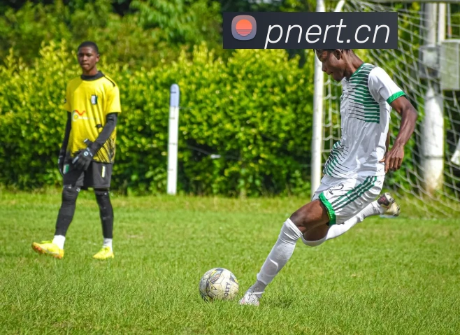 九游在线官网平台生态图